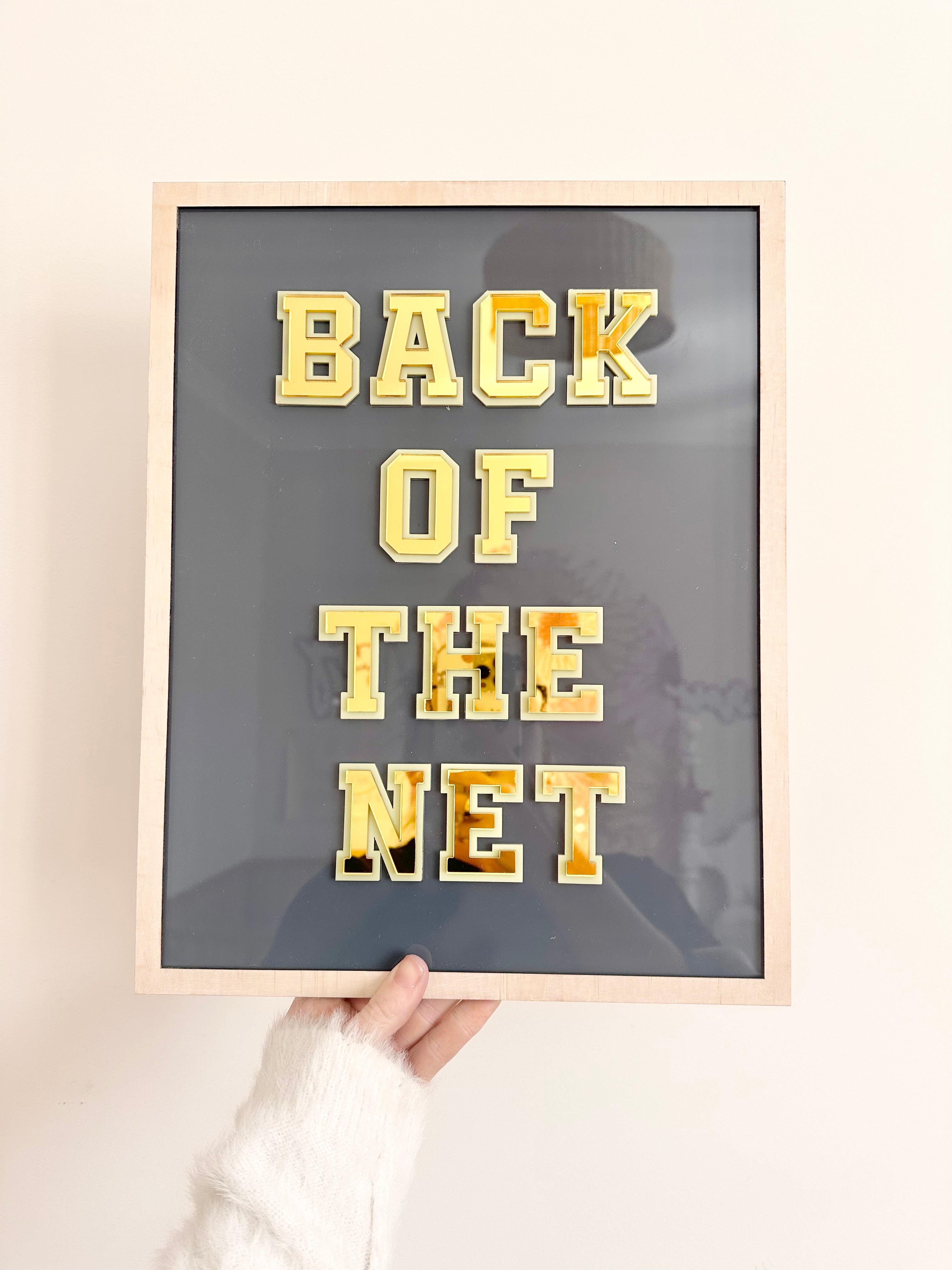 "Back of the Net" Acrylic Artwork