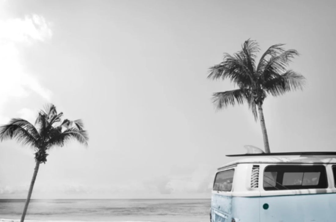 Kombi Mural (pink/blue Kombi)