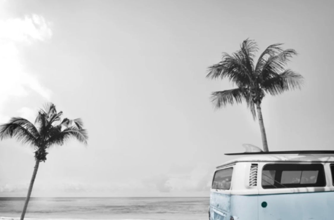 Kombi Mural (pink/blue Kombi)