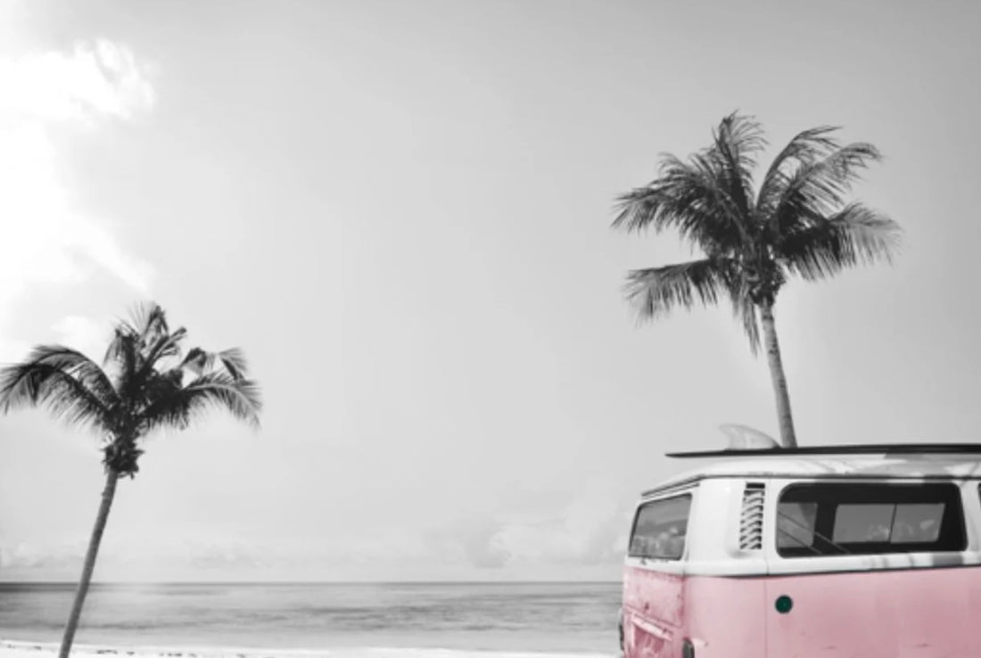 Kombi Mural (pink/blue Kombi)