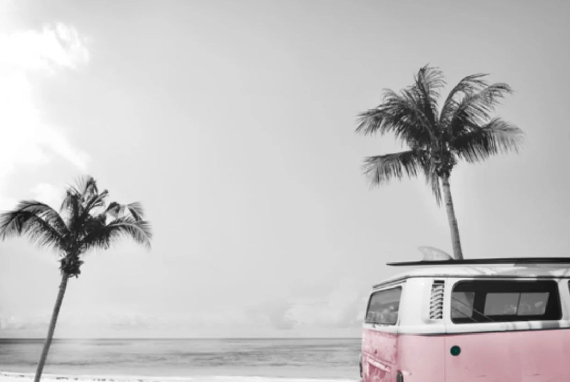 Kombi Mural (pink/blue Kombi)