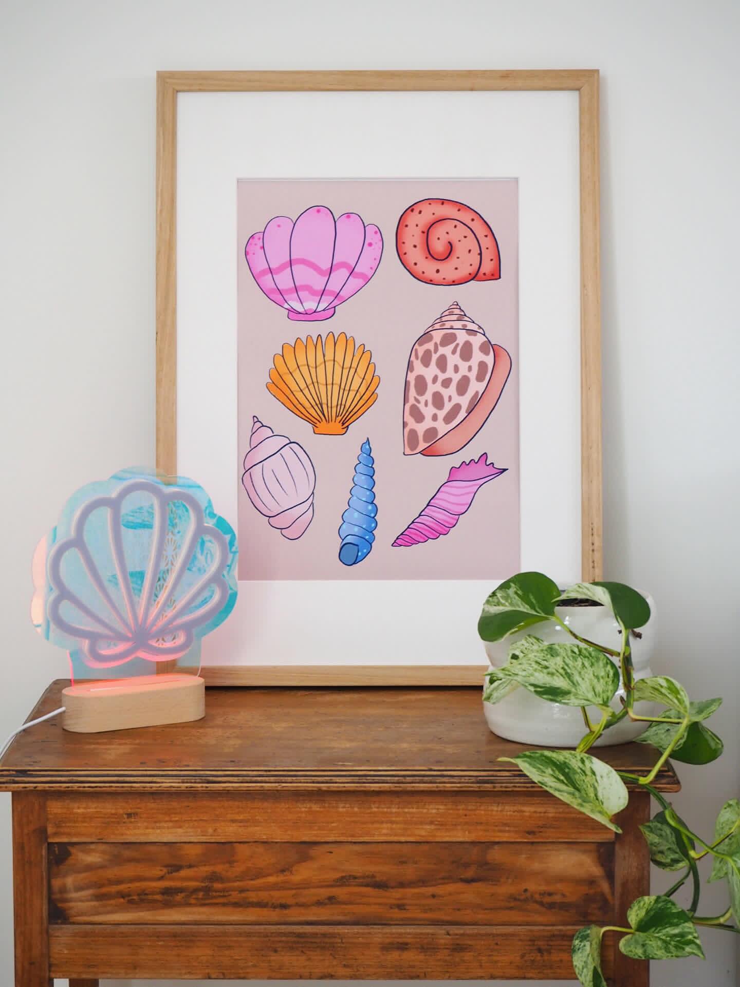 Shell Colour Pop Night Light