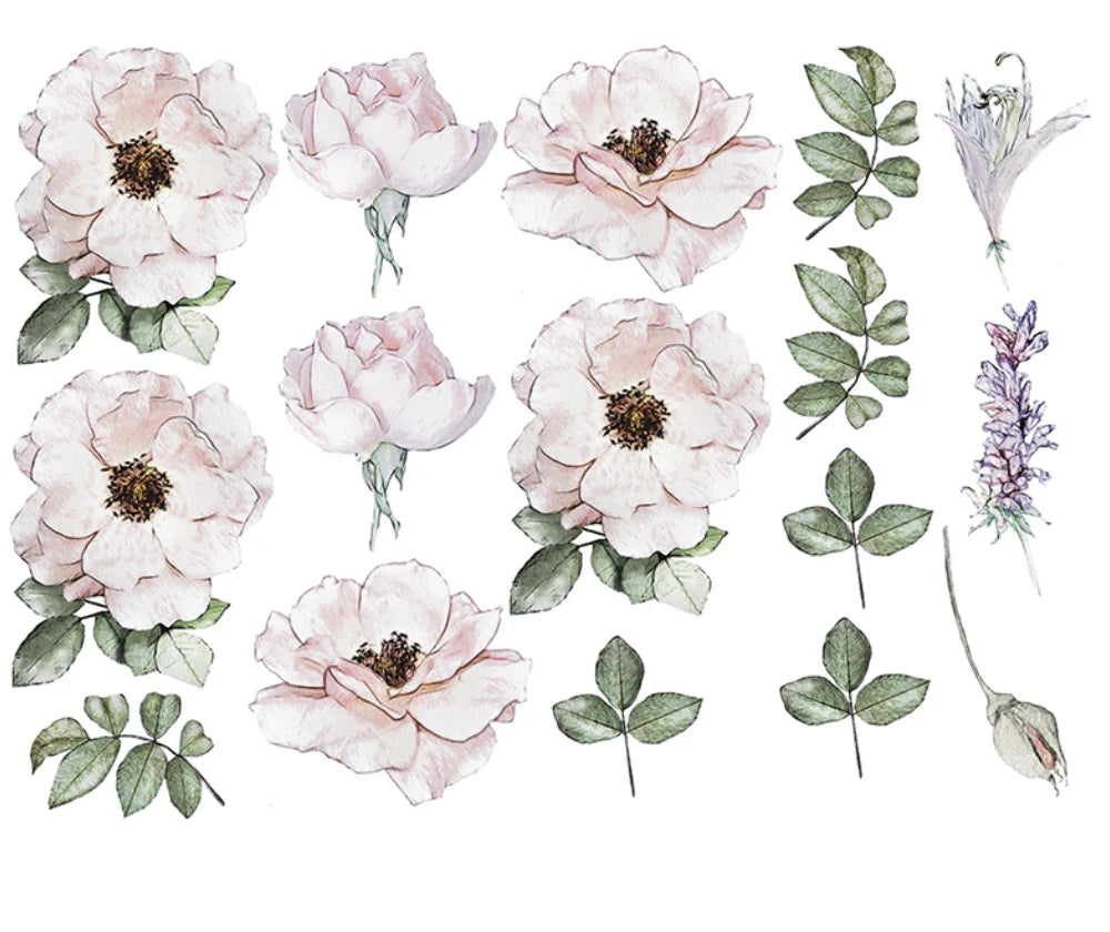 Peony Garden Decals (two sizes)