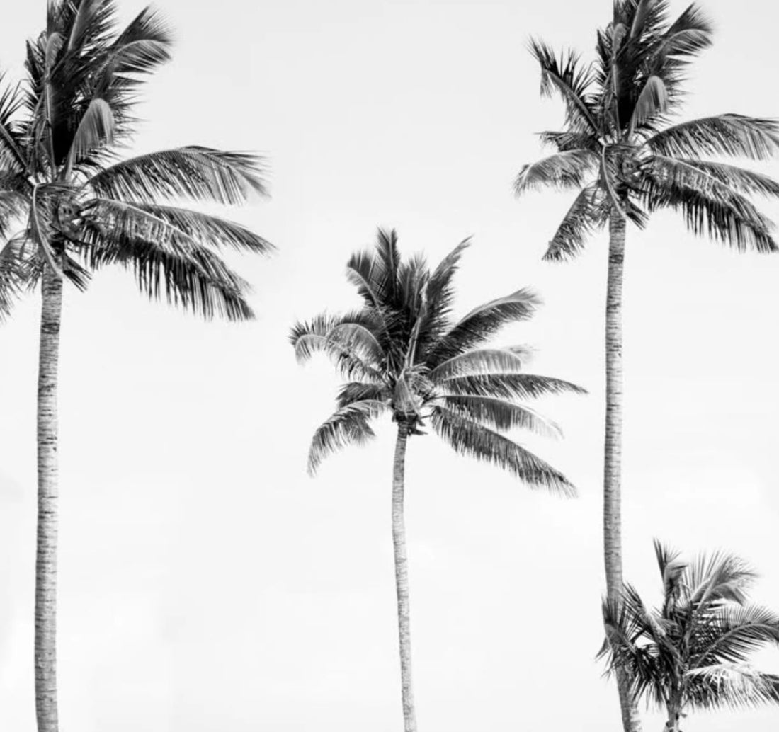 Palm Tree Mural
